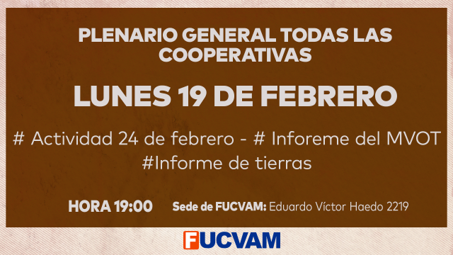 plenario 19