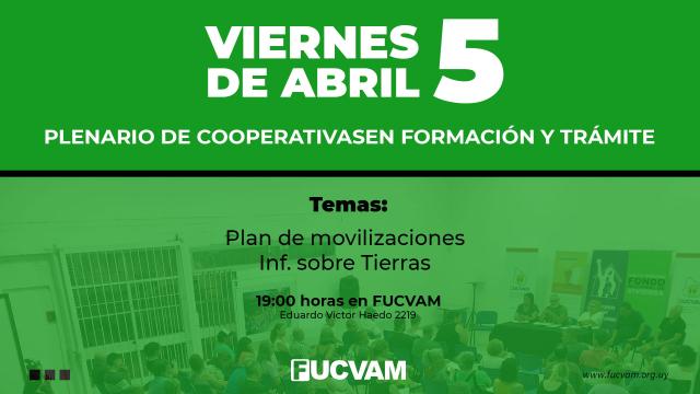 plenario